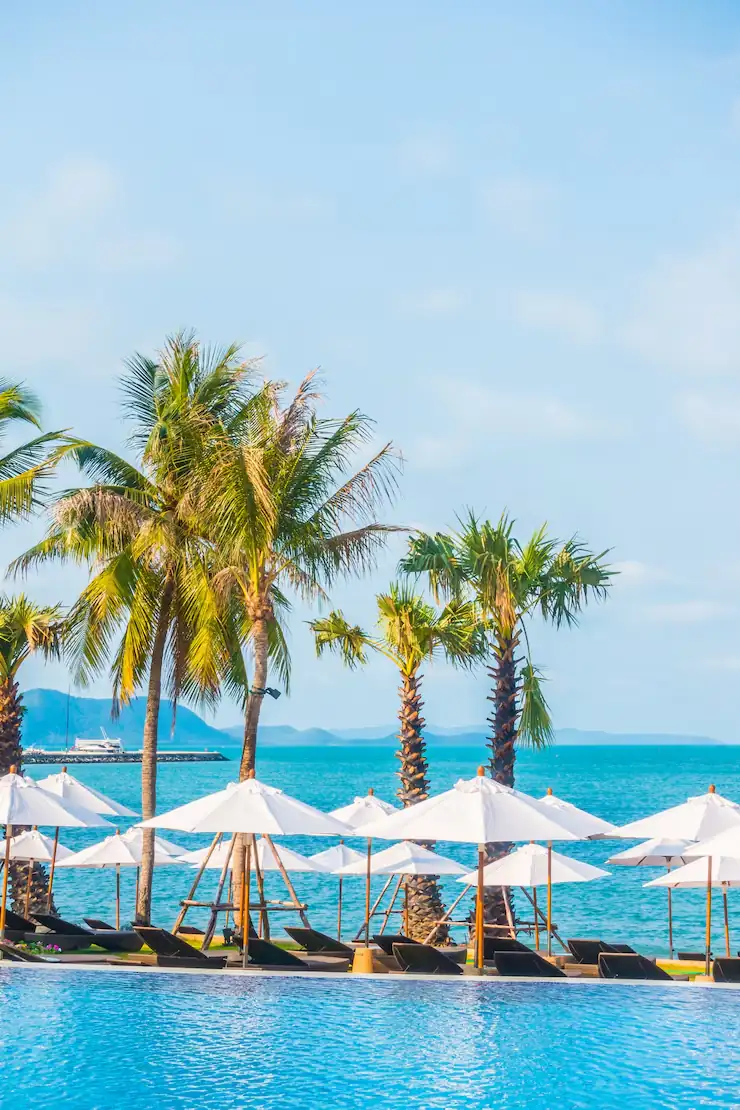 Retail, F&B & Beach Clubs